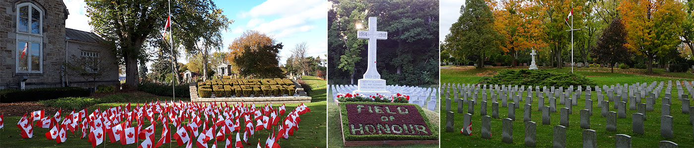 Field of honour at cemetery images
