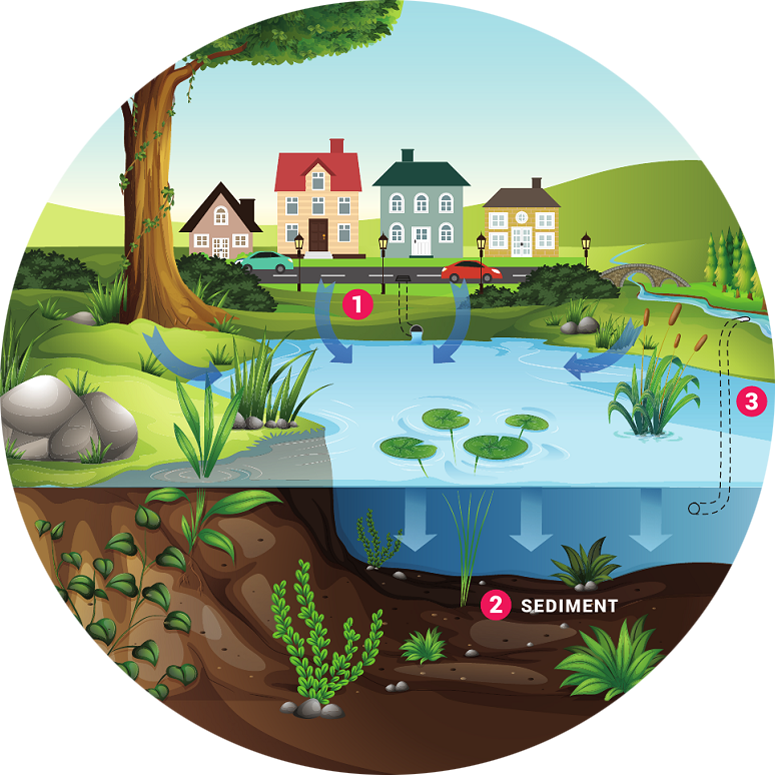 Illustration of a stormwater pond