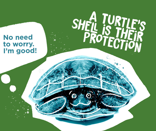 Turtle tucked into shell with text "No need to worry. I'm good!" and title: a turtle's shell is their protection