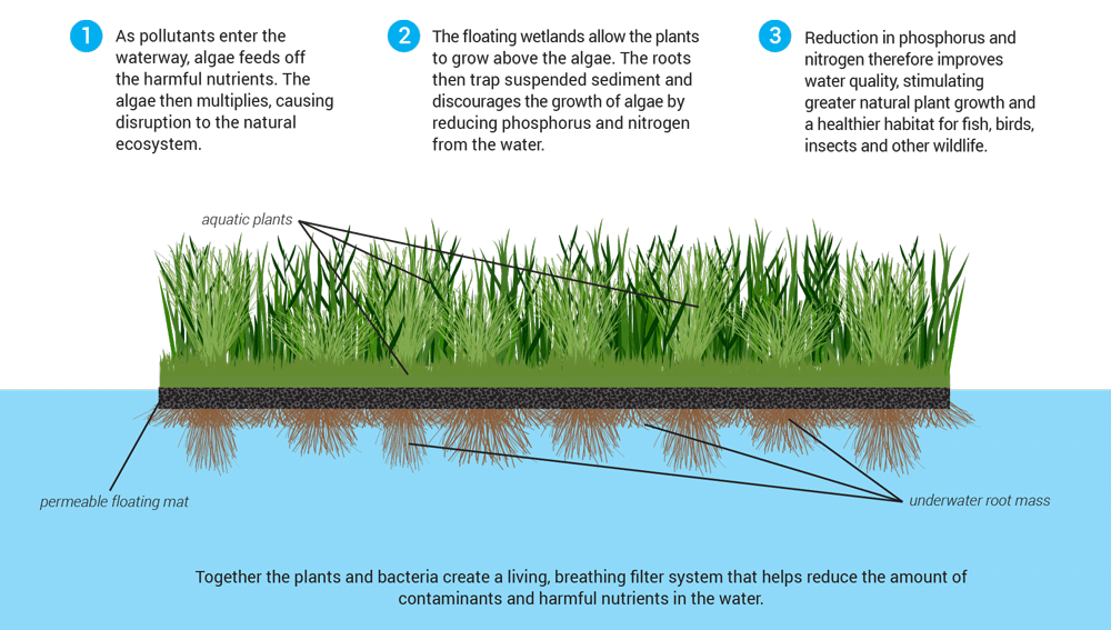 Infographic cross section of floating treatment wetland mat