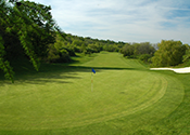 Ward 4: King’s Forest Golf Course