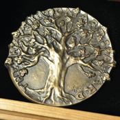 Arts award medallion