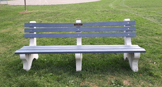 Park bench on grass in park