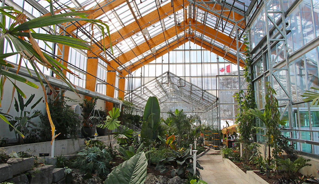 Inside of Gage Park Tropical Greenhouse