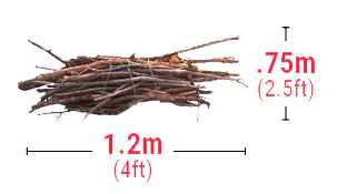 Do not put out branches that are more than 7 cm (or 2 ½ in) in diameter.
