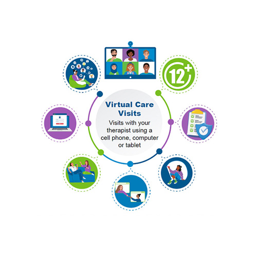 Virtual Care Visits infographic