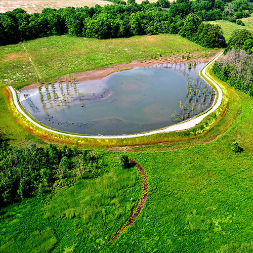 Saltfleet Conservation Wetland - separate wetland to address flood and erosion risks.