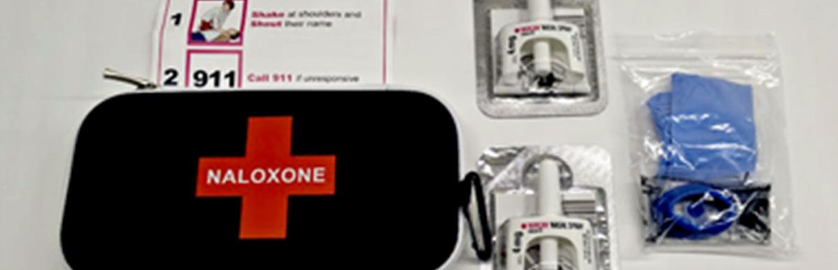 Example of naloxone kit and contents