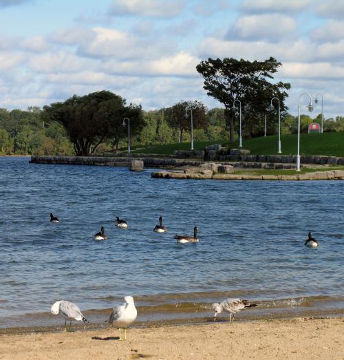 Public beach at Bayfront Park